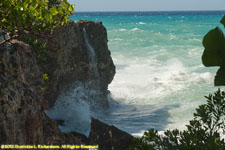 Negril waves